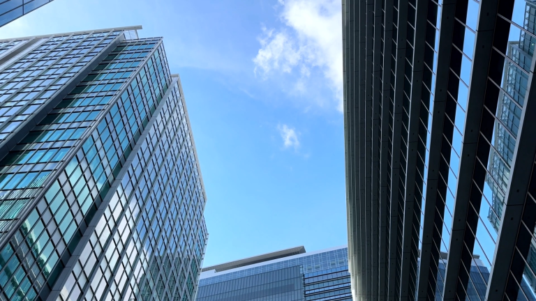 Business Growth & Revenue Innovation